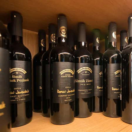 Palace Art 4* Pezinok