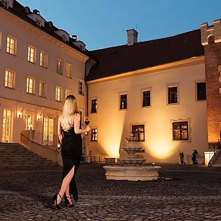 Palace Art Hotel Pezinok