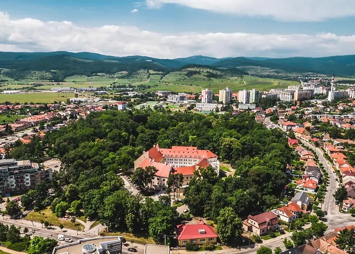 Szálloda Palace Art 4*